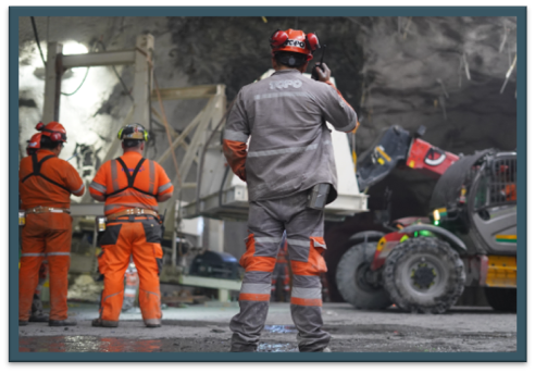 Imagen de la vacante